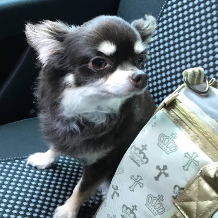 E89022a0 d933 474b a551 0939a8050d76