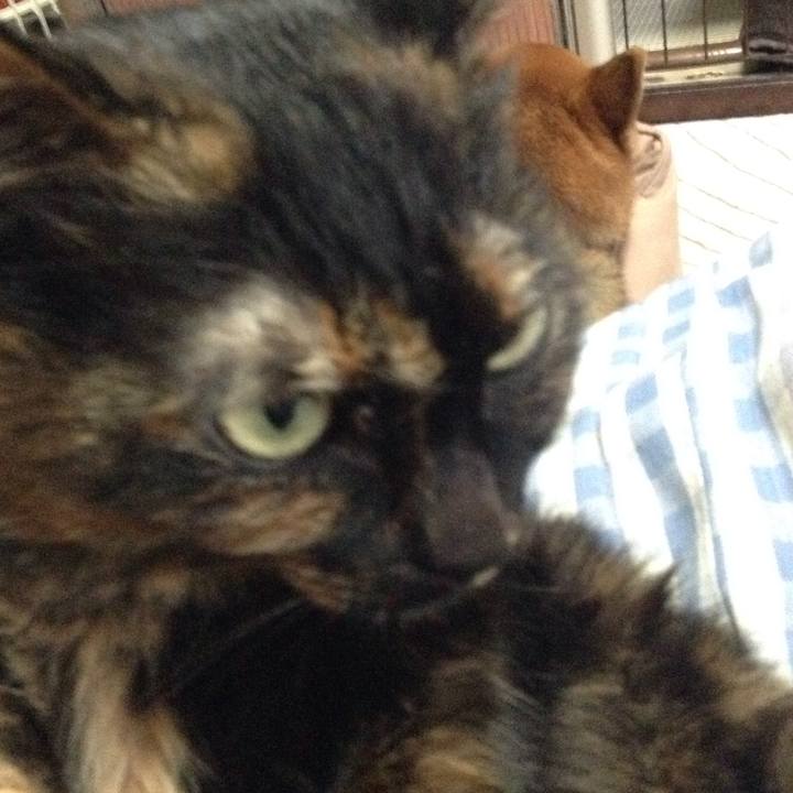 E89053db e3c5 4f03 b044 5a0bba4d9644