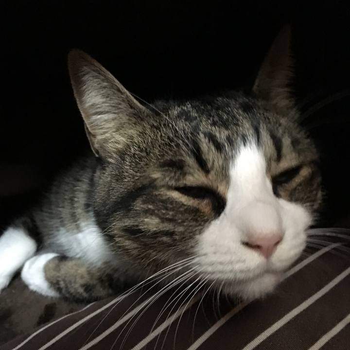 E890a9a8 d089 43d9 913d 9dff7f67f471