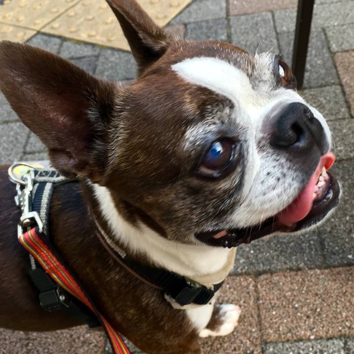 E890bed5 bafc 4504 8e5a 761bb24b053d