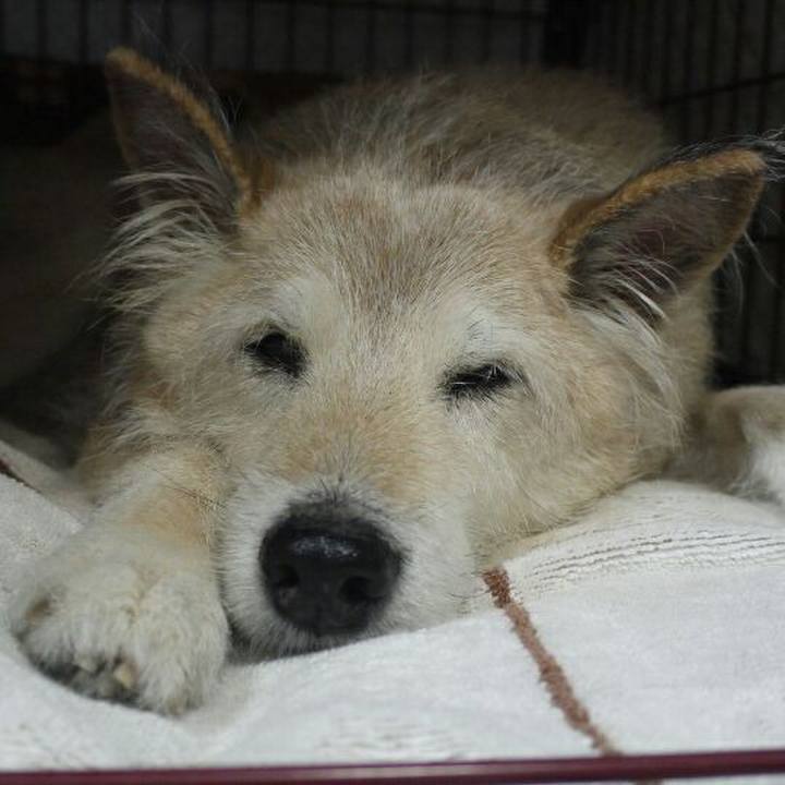 E8915beb 033f 4799 ac35 e4684ddb0940