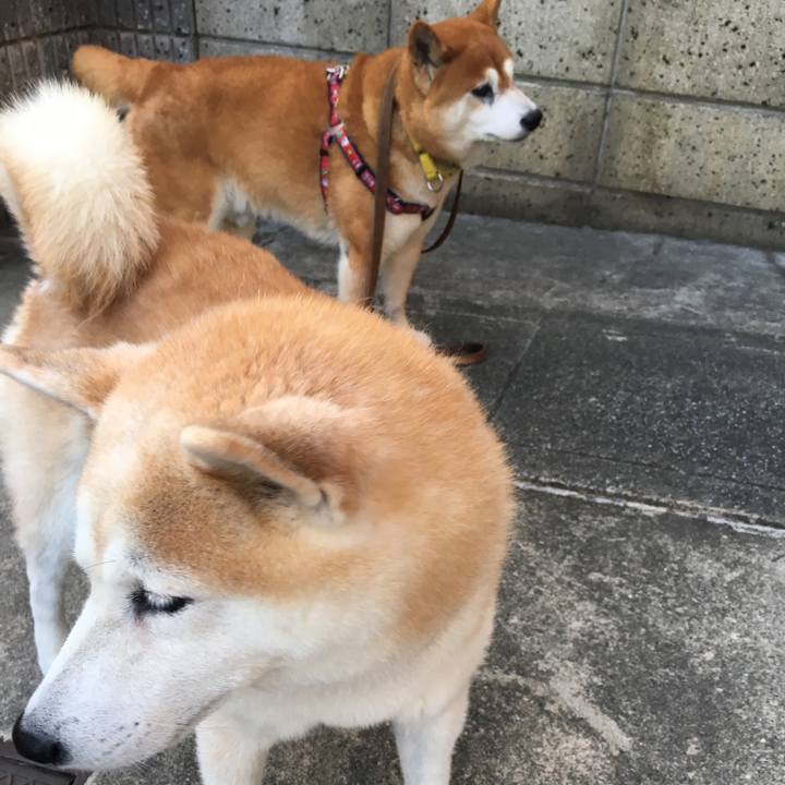 E891b946 37bf 4a64 b424 23c9b7aa7bf6