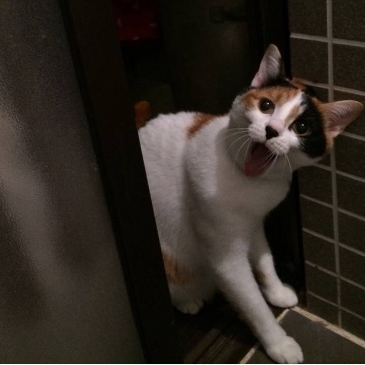 E892961f 05c6 4030 b835 56ce795e9382