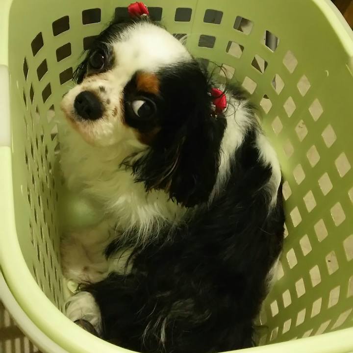 E892e0a8 f56c 4fc7 9ae9 bea05117d28a