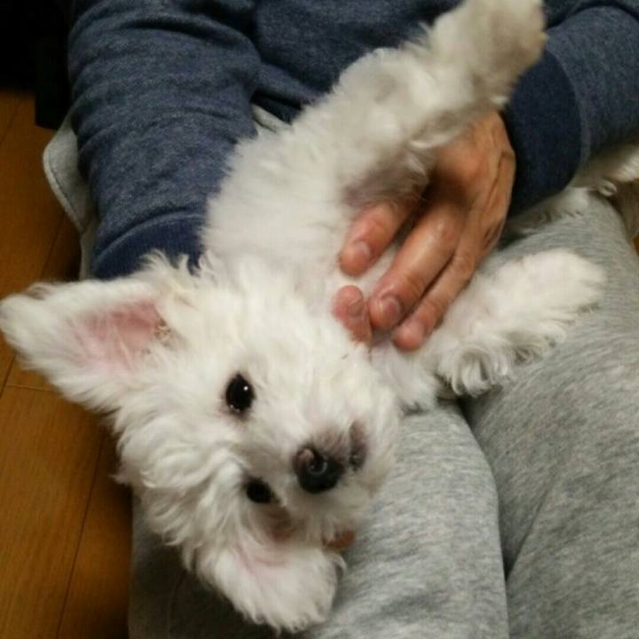 E8932aa1 2c73 4933 84d1 b4f63fd4644e