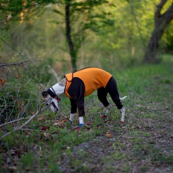 E893c1a0 d28b 4b47 bd68 debefbd583b6