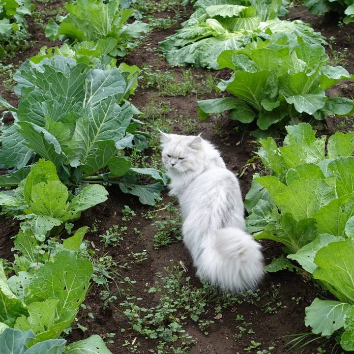 E8940ace f12d 41de 9443 c9024387612d