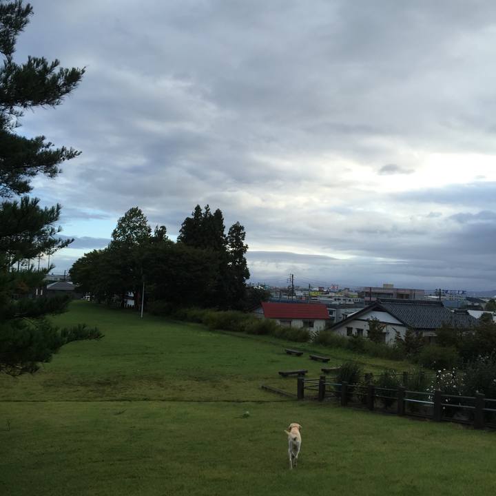 E8942e90 28f3 48bb b14f 80954e24f29f