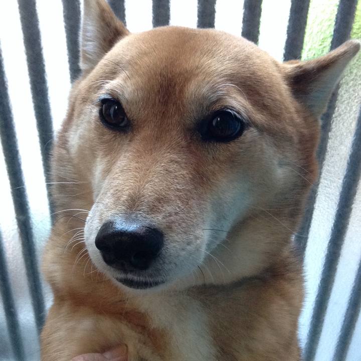 E89474c5 344b 414d 814f 31b3f9d737cf