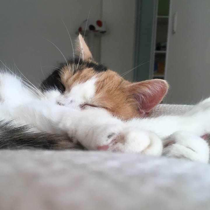 E894a47e cd31 456d a33e 50fc0c3fafeb