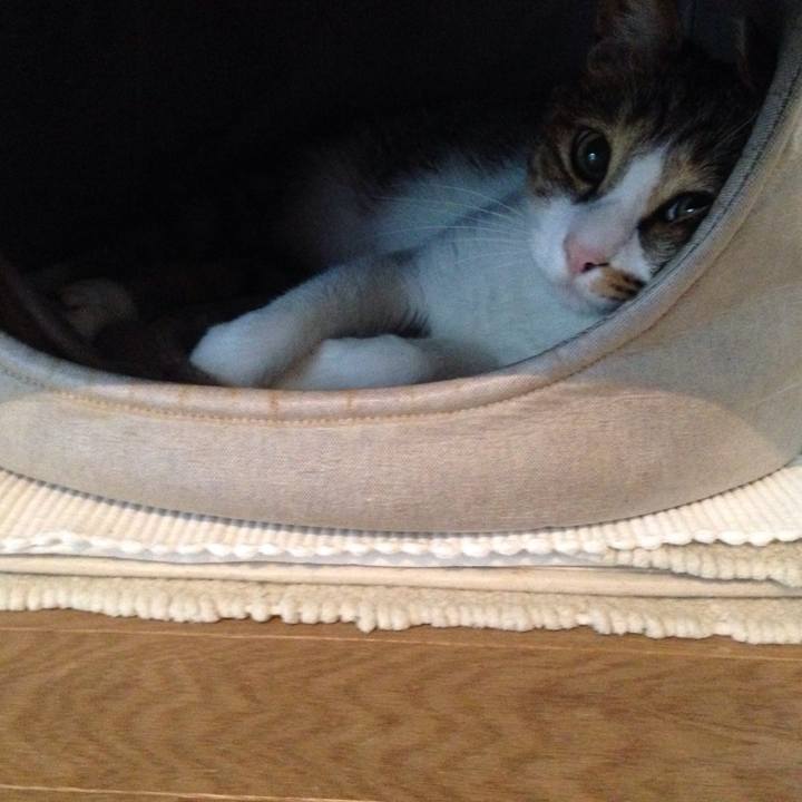 E894fa31 2023 4eba 9a4c e5978df0ef8f