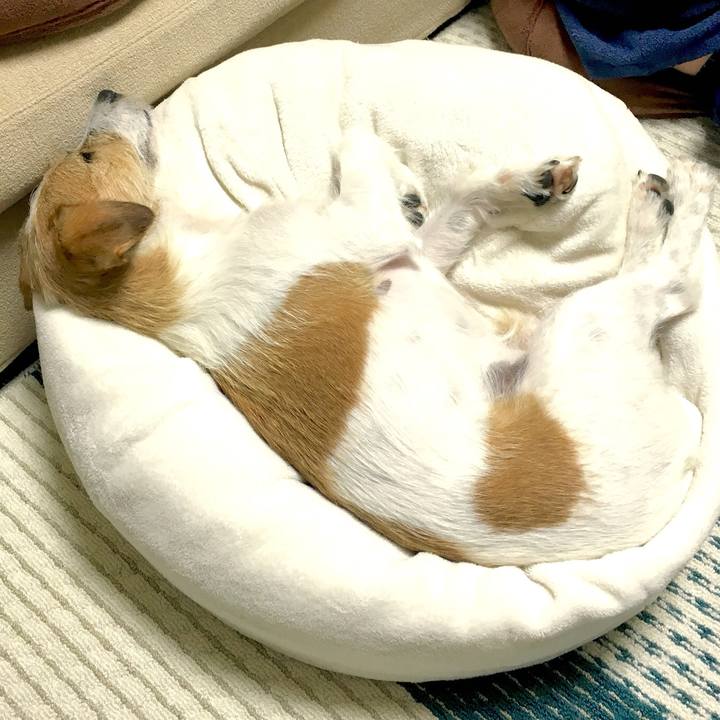 E8956a88 7e8b 42cd 94ec e58e87bb1f82