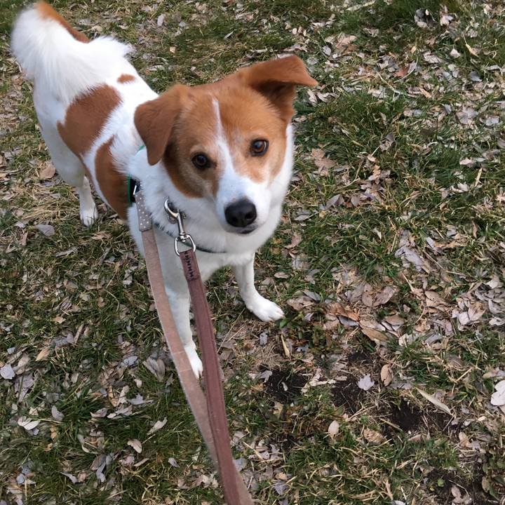 E895b6ed 34d0 4ae6 834d 43b4a806d634