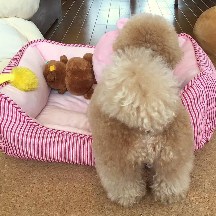 E89659ea 132c 4e71 a420 040a090e7660