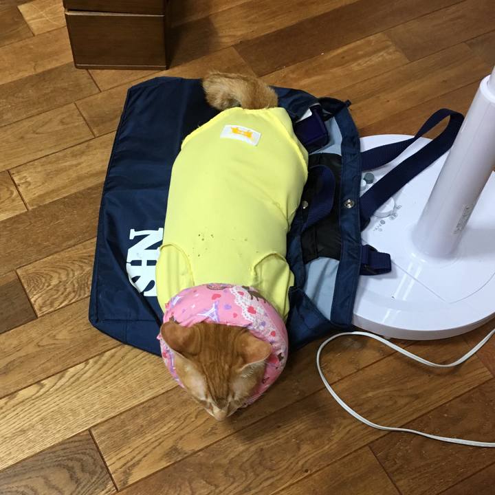 E896d82c d6cd 4b9c b1c1 ab041f5ff7a1