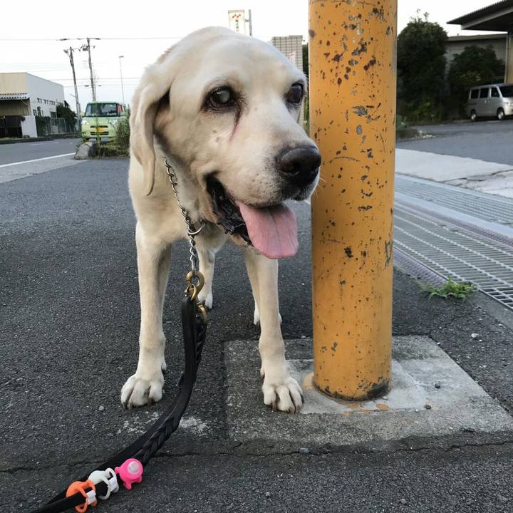 E896fb3a 20cd 40cd 8efa 6d1325c15585