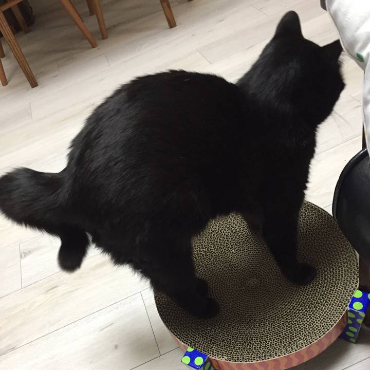 E89722d2 1bbd 4d68 8ce5 5307b72da222