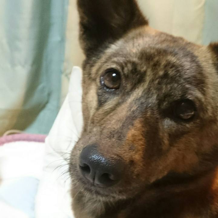 E8975785 8b41 47de 8ea6 c44b11026019