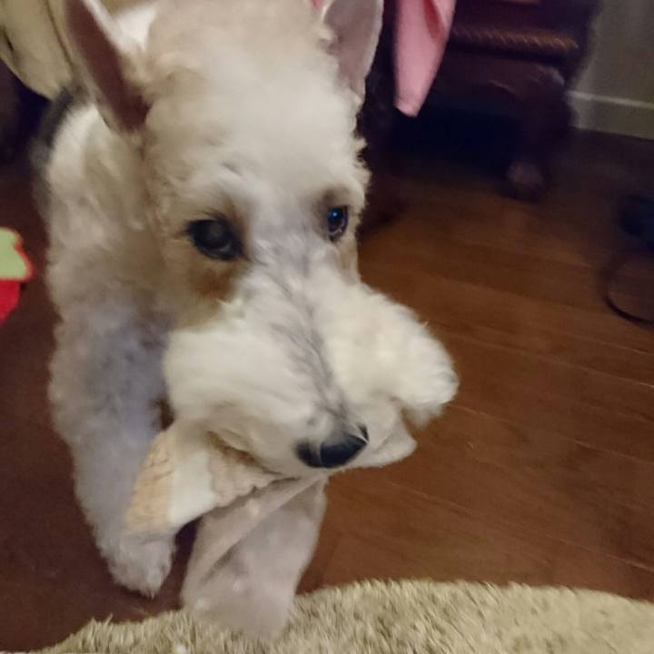 E8980c5b 33f1 476f bb1e 81b6baaf22de