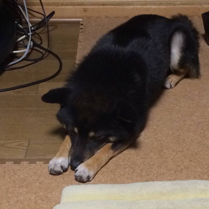 E89820f7 da9f 44b9 8736 aa55dcebffd9