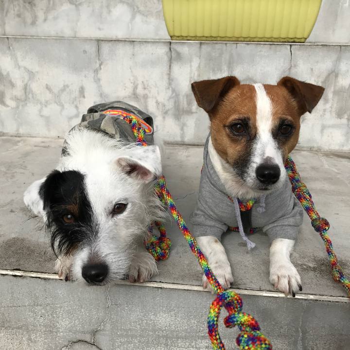 E8983192 c0e4 4943 a605 e77b72e0f9f5