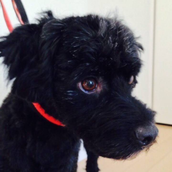 E898393a 86e3 48f2 91b6 8a136d531ce7