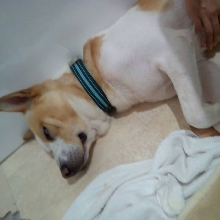 E8992d91 a443 4482 8136 257224a86116