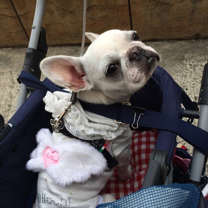 E8994352 8179 49ef 84c6 ad2b306d23f5