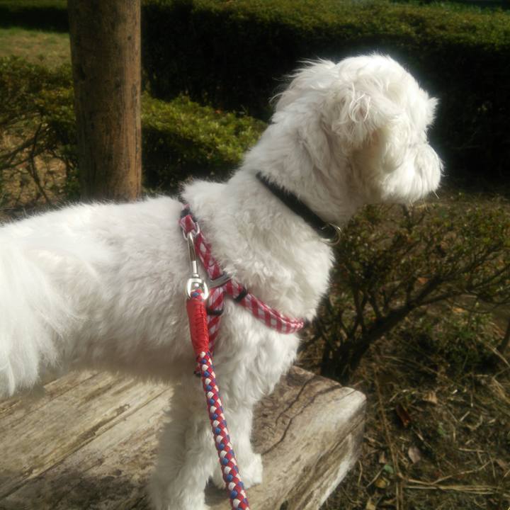 E89943ee ee7a 4ec5 b2dd cf8f60d876c2