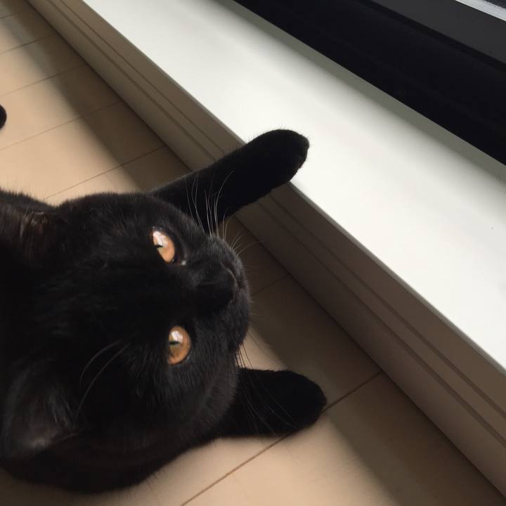 E8996518 91f9 43b1 af26 eda3484c2191