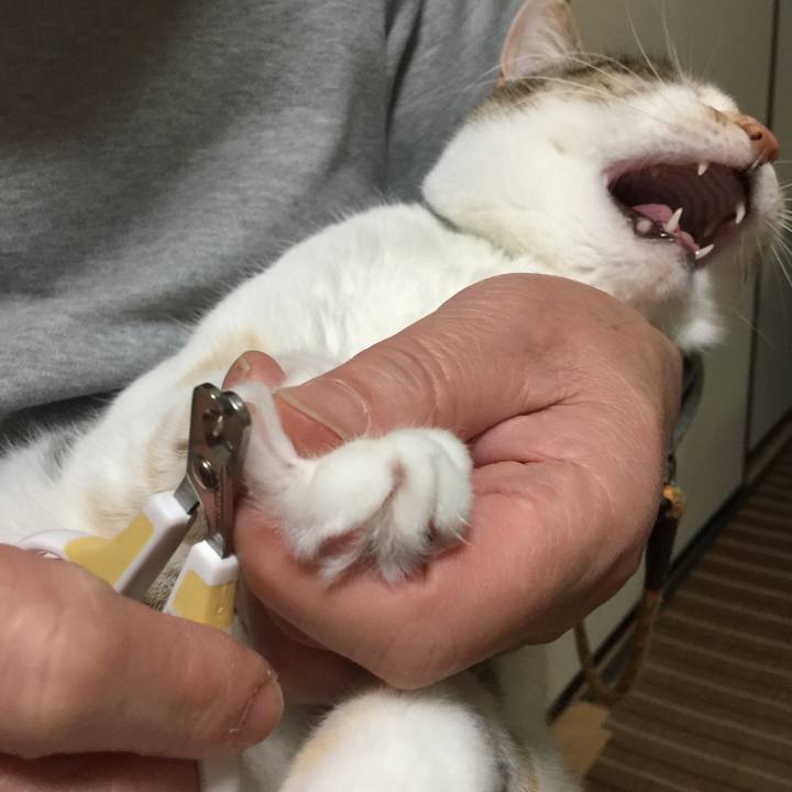 E899cc36 e768 4685 a1ba 12a23a618ef0