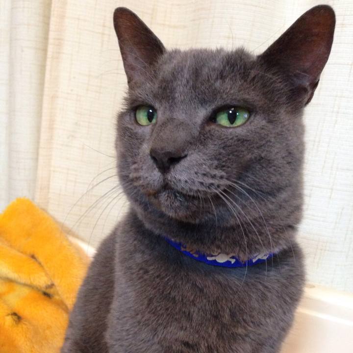 E899e911 0825 475c b4c0 88ded751a75f