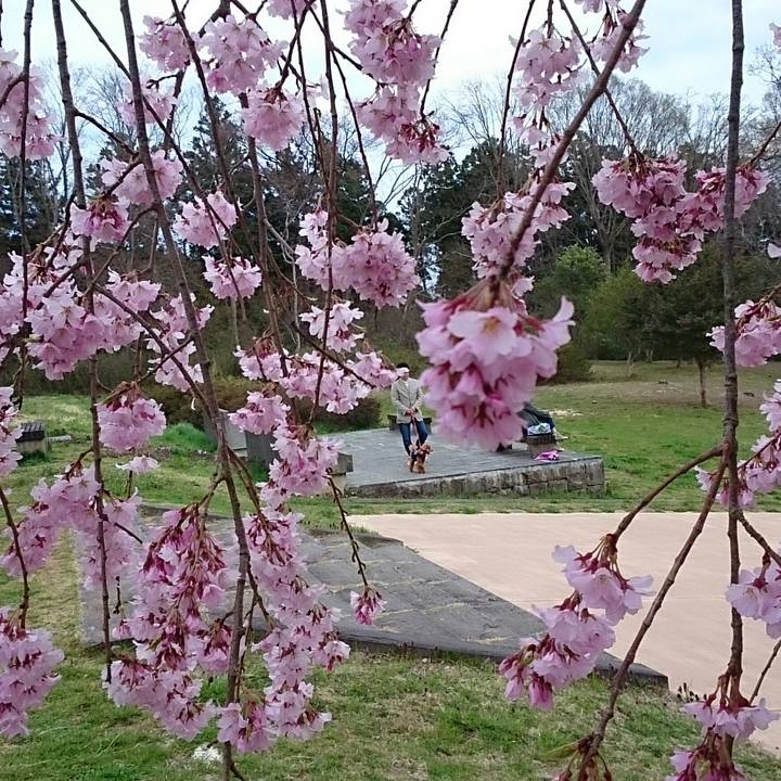 E89a3bb4 f696 41ab bd70 3fe69c01320b