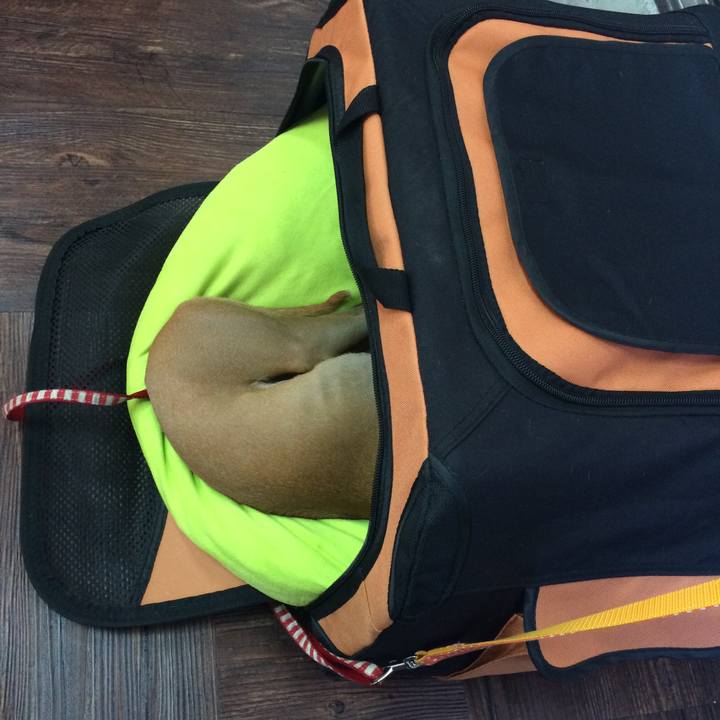 E89ae5ef 39d7 46fc 915c 49796a65e523