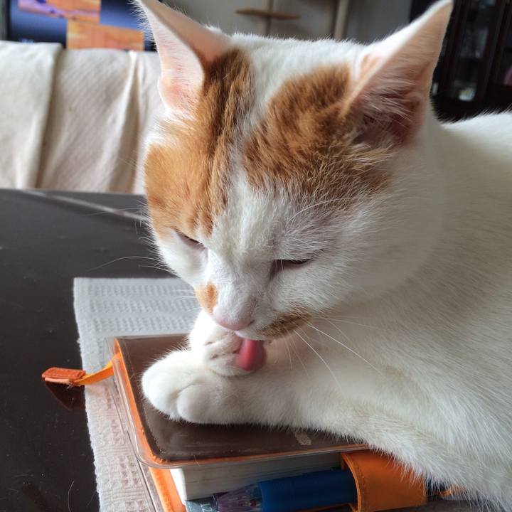 E89bbd56 0bb7 4c1f 89fc c97777eef1ee