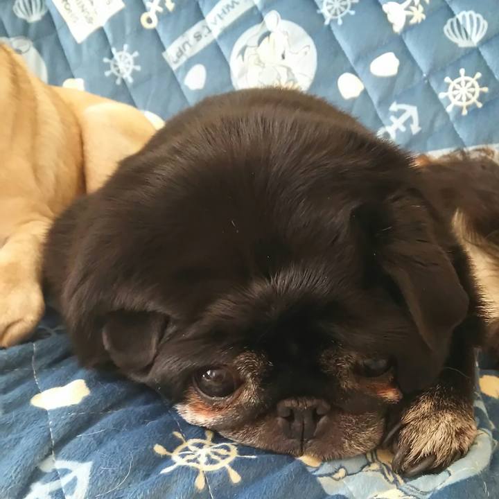 E89bce56 1714 4bba a145 ea80448cbc32