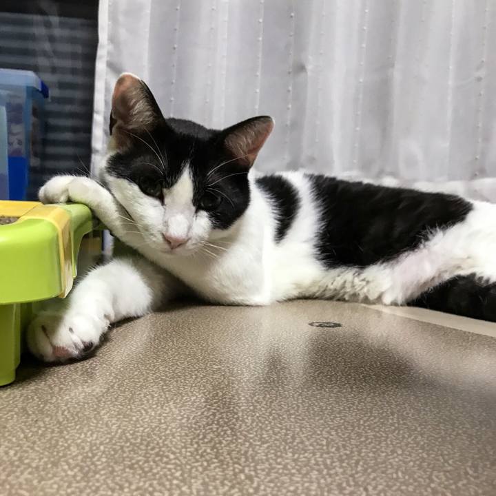 E89be75f 5fb9 4370 8911 31a9c03bb206