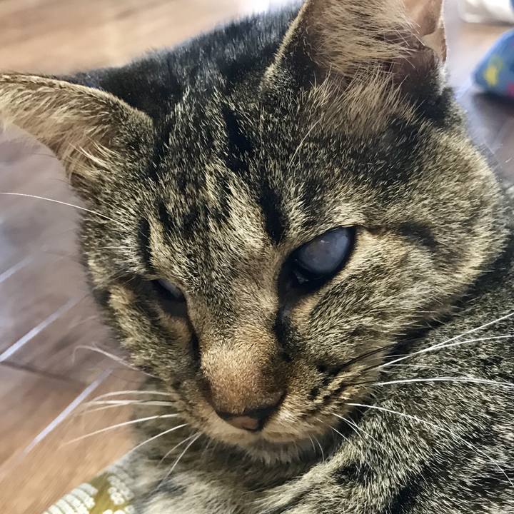 E89bfb61 a956 4b81 a6b5 9ea0c4c243ca