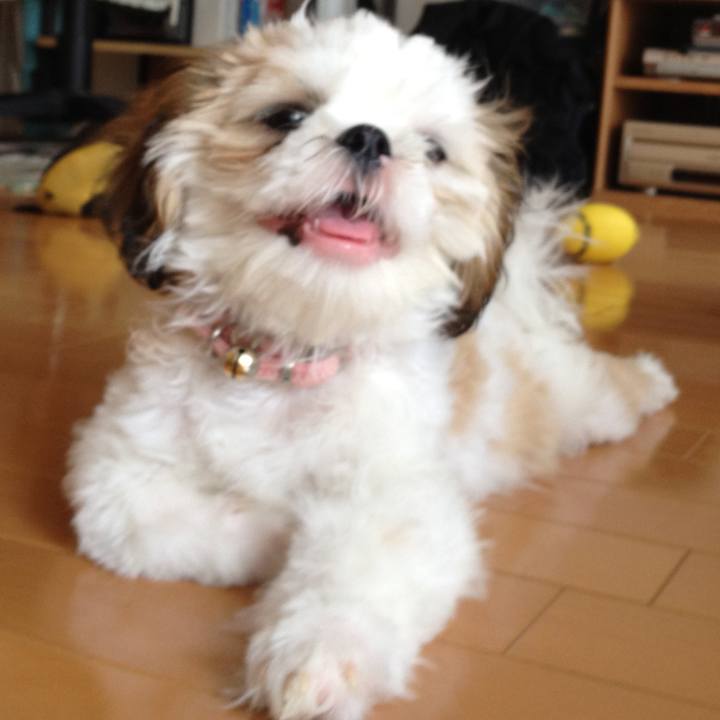 E89c0af0 f0b3 4526 9360 7793daddded0