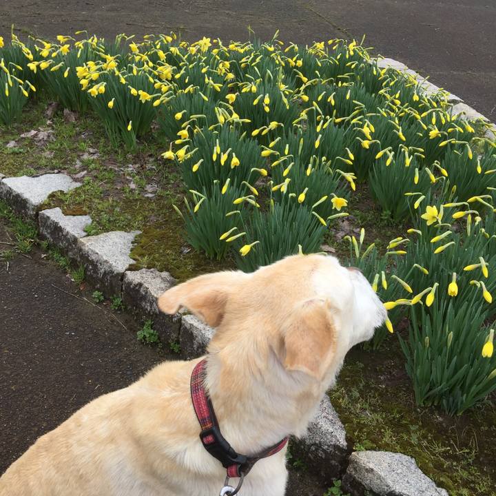 E89cb1b0 358c 4612 b5f7 55dc48d8eb8d