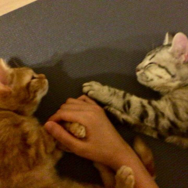 E89d98e3 7328 4db2 a826 5afe6bd7eca4