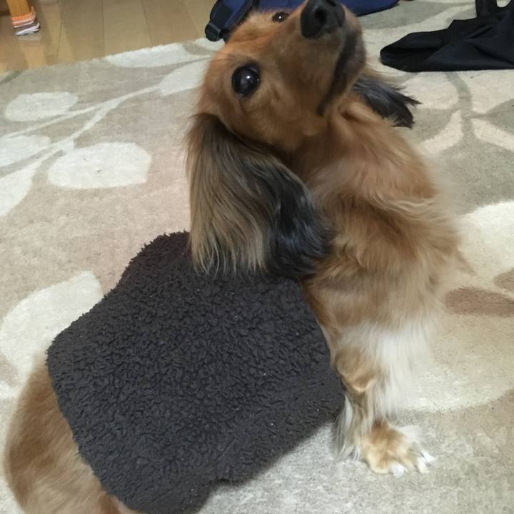 E89ddb46 3570 40b3 83b1 2c1ff26bd450