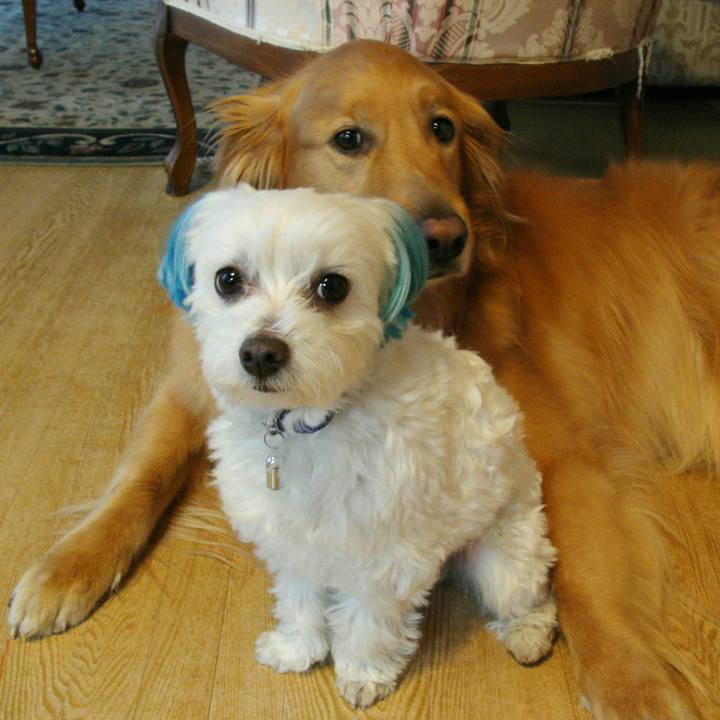 E89e52f7 7b32 4406 a386 531863ce45f8