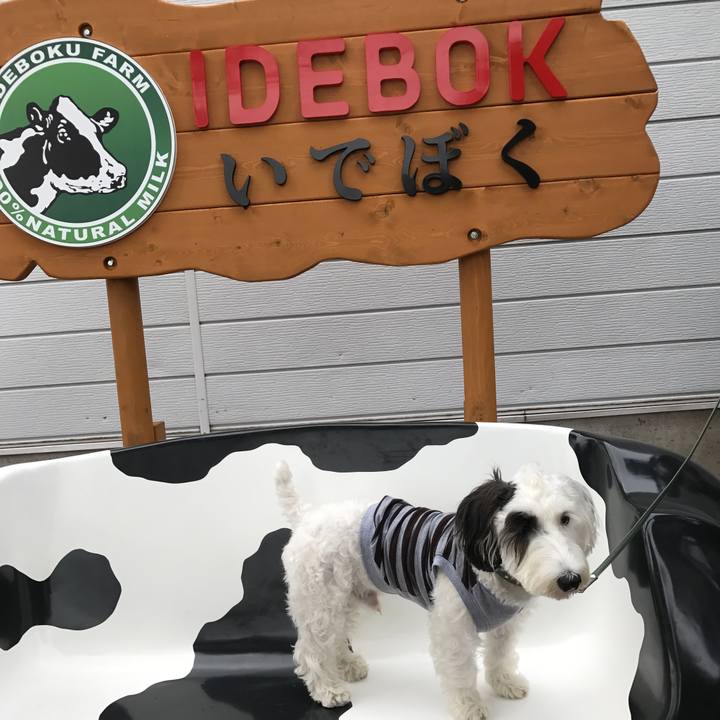 E89e6f63 2ff8 4d05 8bd0 285130ac5069