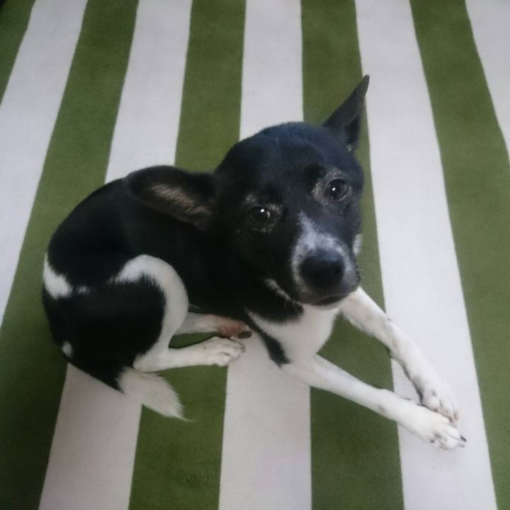 E89ebf47 688a 4a9b 95f3 26f75e7766bb