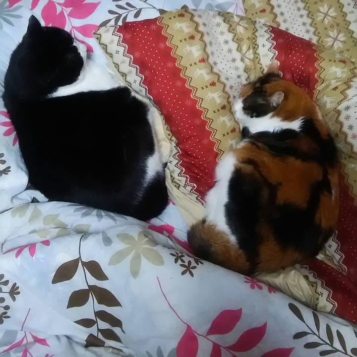 E89ec5cf 706c 43c3 9053 2ace9fa71a20