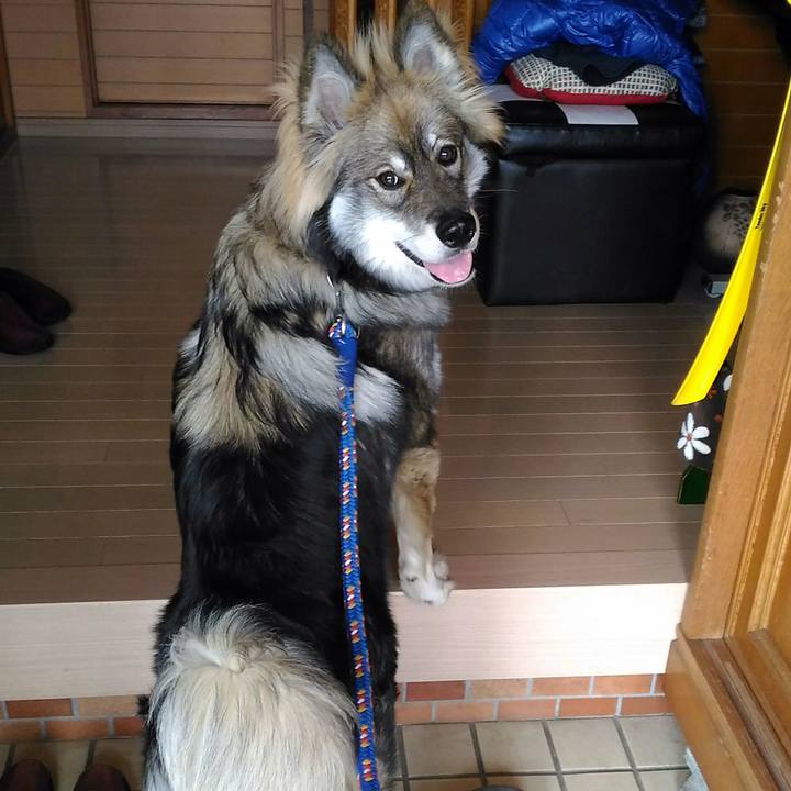 E89fb03c ce6e 4f52 be5a 626076055db0