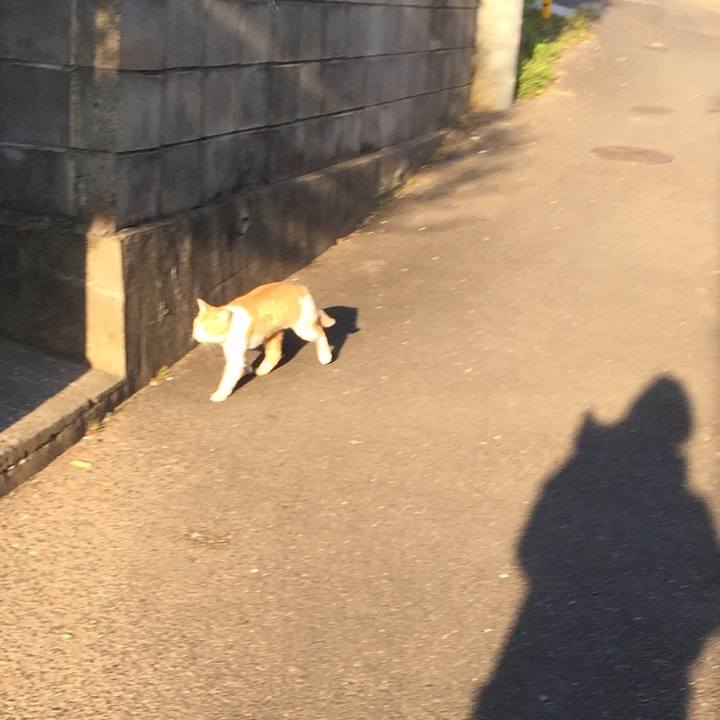 E89feb6d b9e6 4940 af4d b5d675847c71