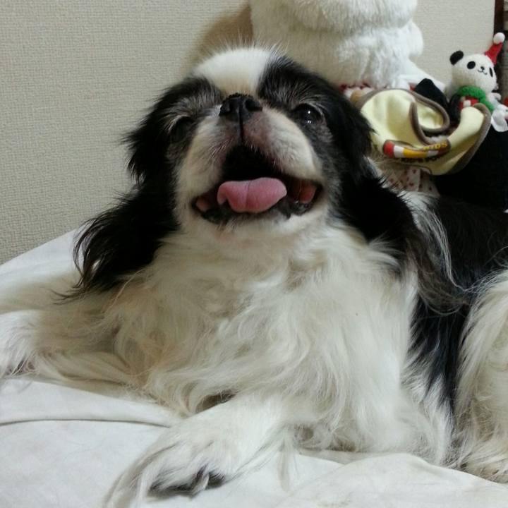 E8a010b8 287c 4dde 9d1e 3ac333f75cae