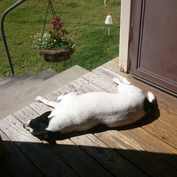 E8a07036 812a 4ae9 b055 ff1072127001